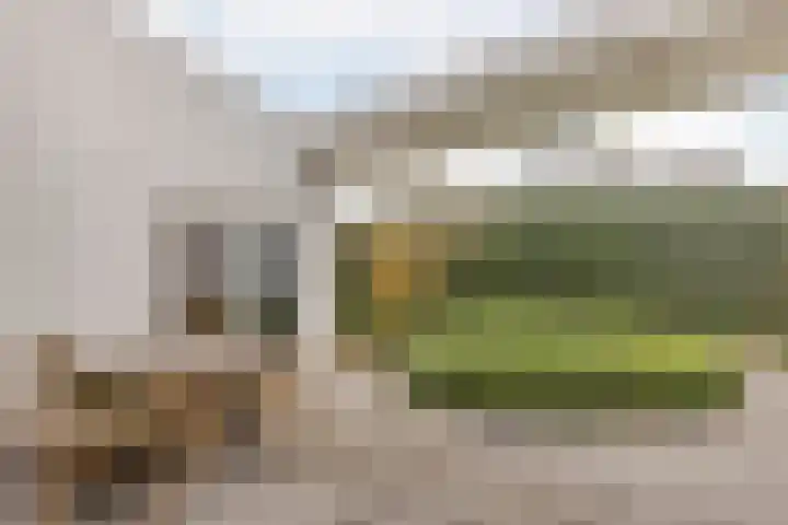 Genderlaan 4 Goirle thumbnail 48