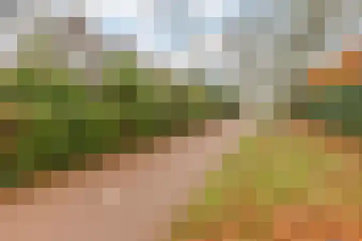 Genderlaan 4 Goirle thumbnail 58