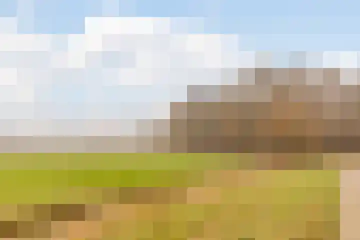 Genderlaan 4 Goirle thumbnail 59