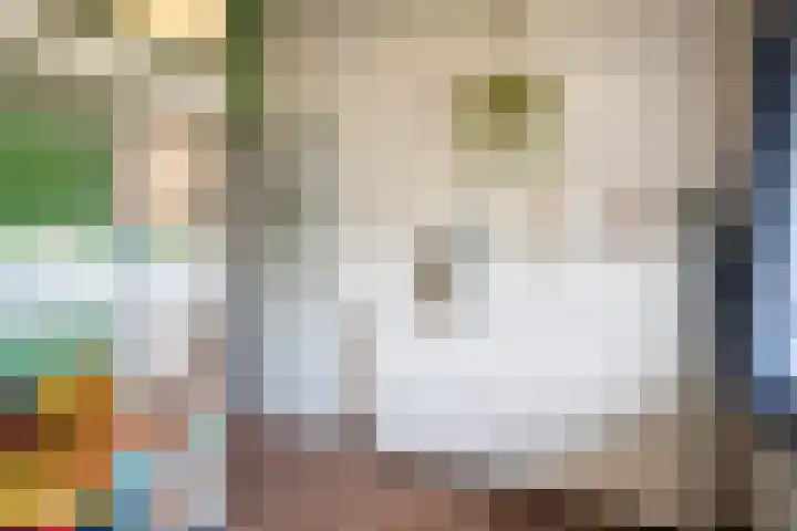 Gendershof 1 Haaften thumbnail 25