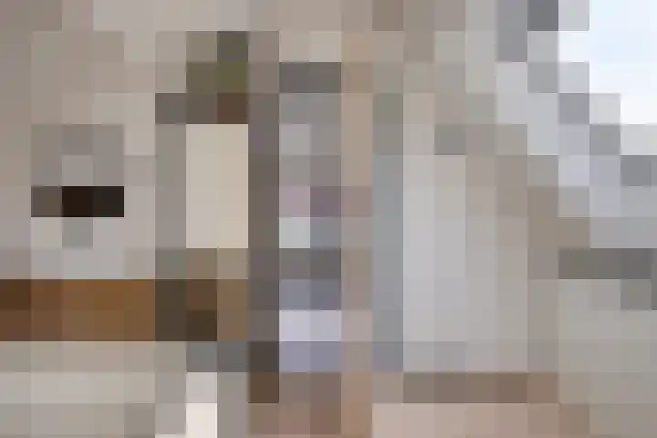 Gendershof 1 Haaften thumbnail 32