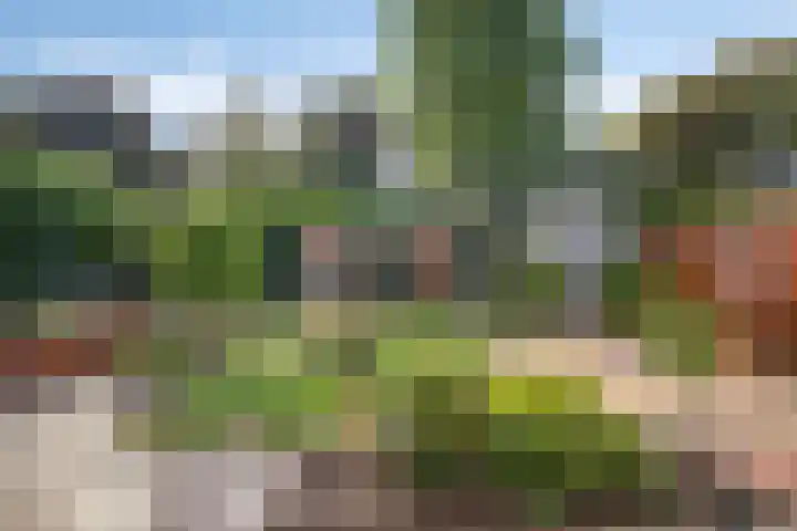 Gendershof 1 Haaften thumbnail 36