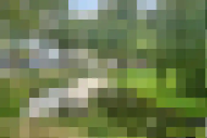 Gendershof 1 Haaften thumbnail 41