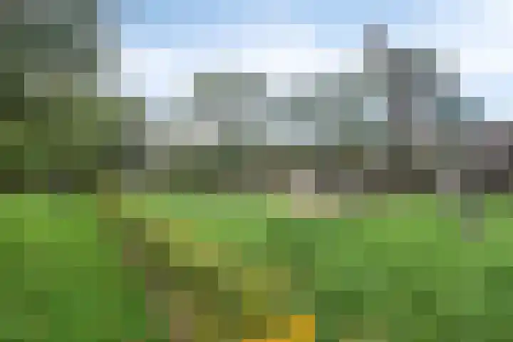 Gendershof 1 Haaften thumbnail 42