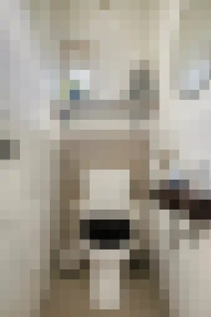 Gendershof 1 Haaften thumbnail 9