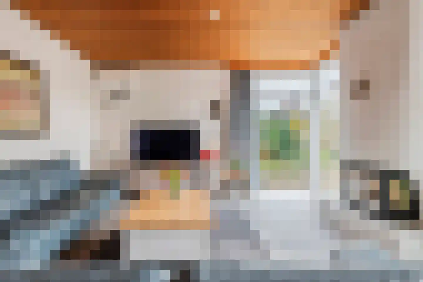 Gendershof 4 Haaften thumbnail 11