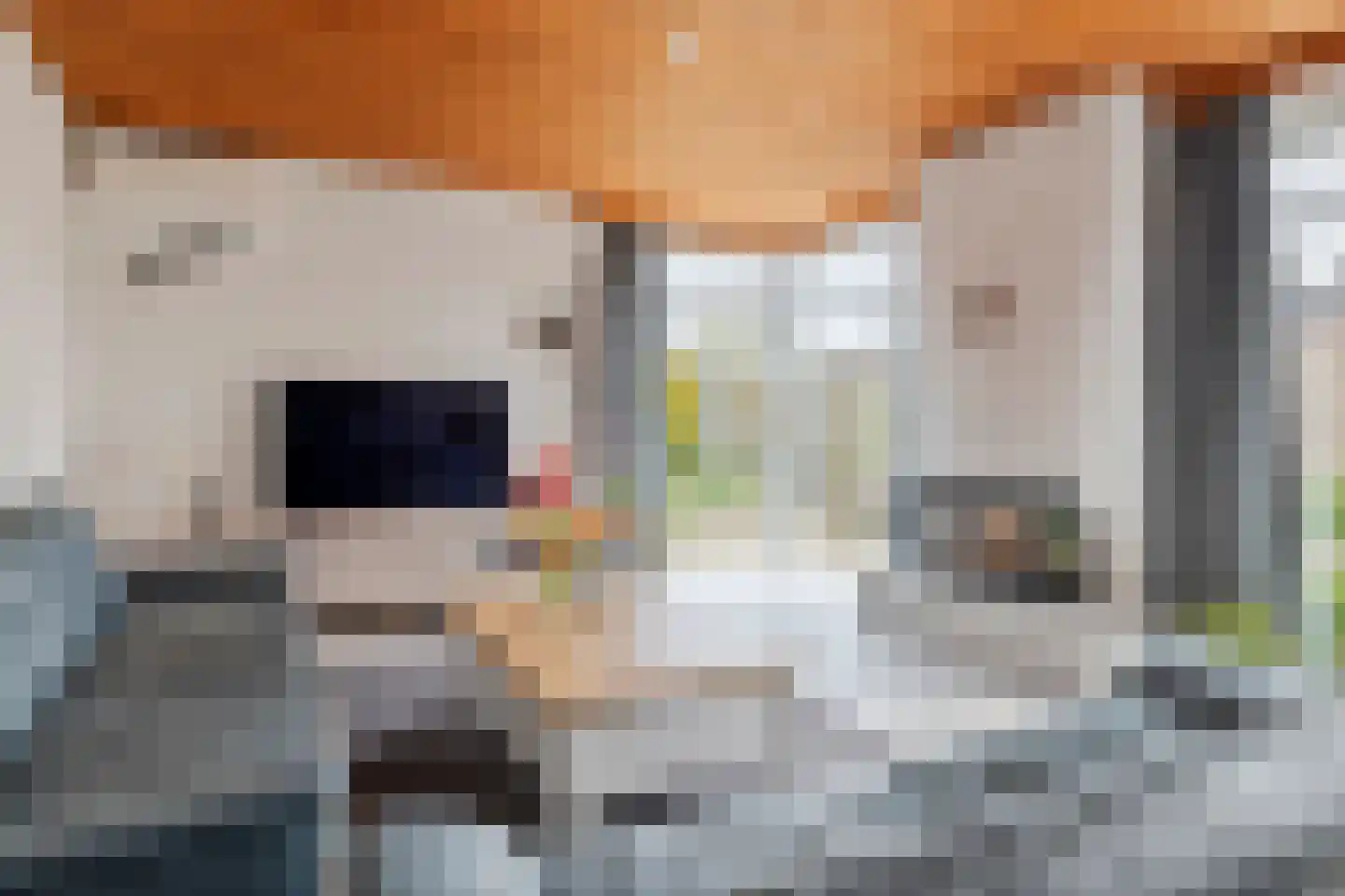 Gendershof 4 Haaften thumbnail 13