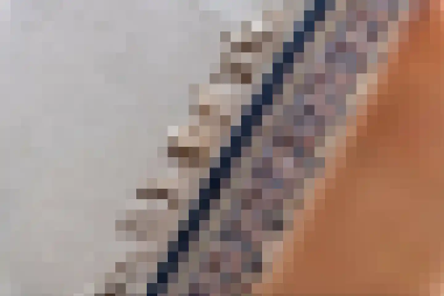Gendershof 4 Haaften thumbnail 22