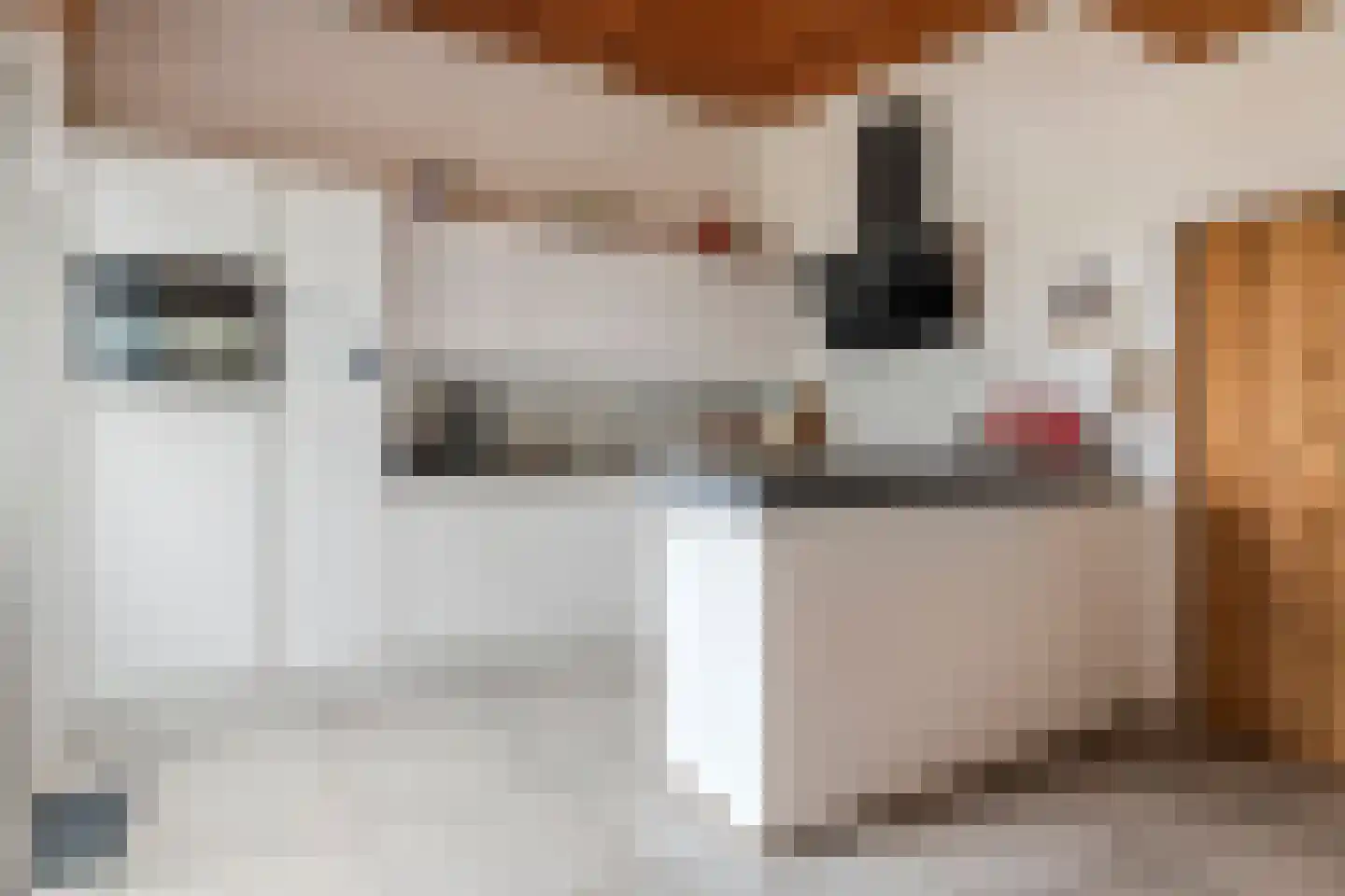 Gendershof 4 Haaften thumbnail 32