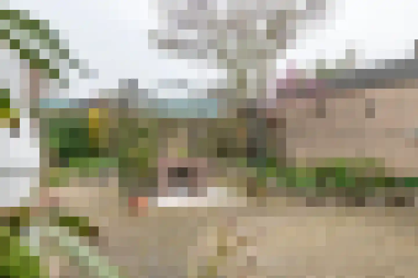 Gendershof 4 Haaften thumbnail 51