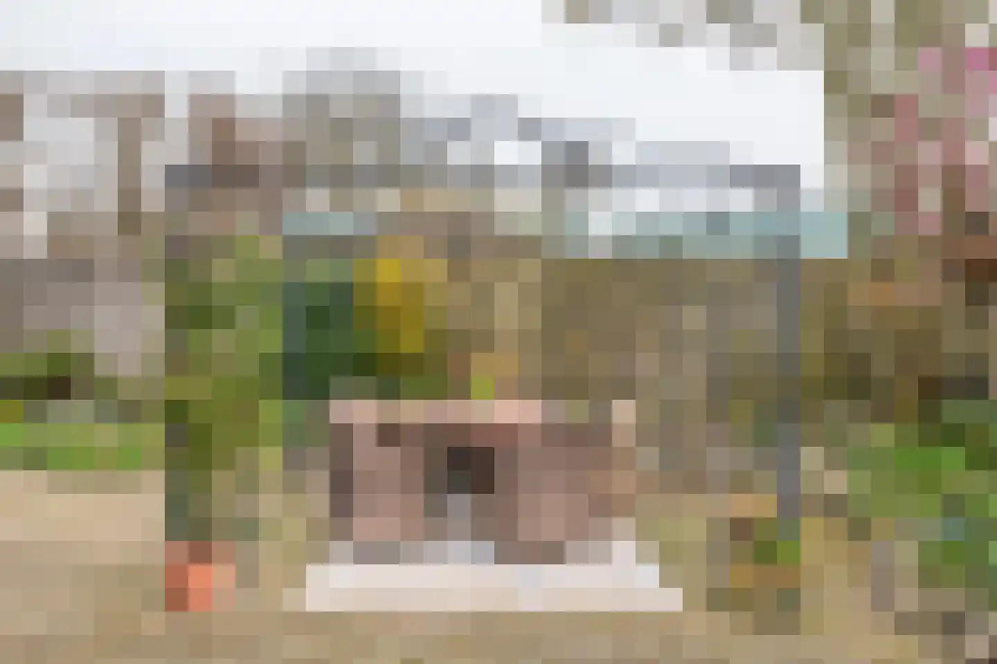 Gendershof 4 Haaften thumbnail 53