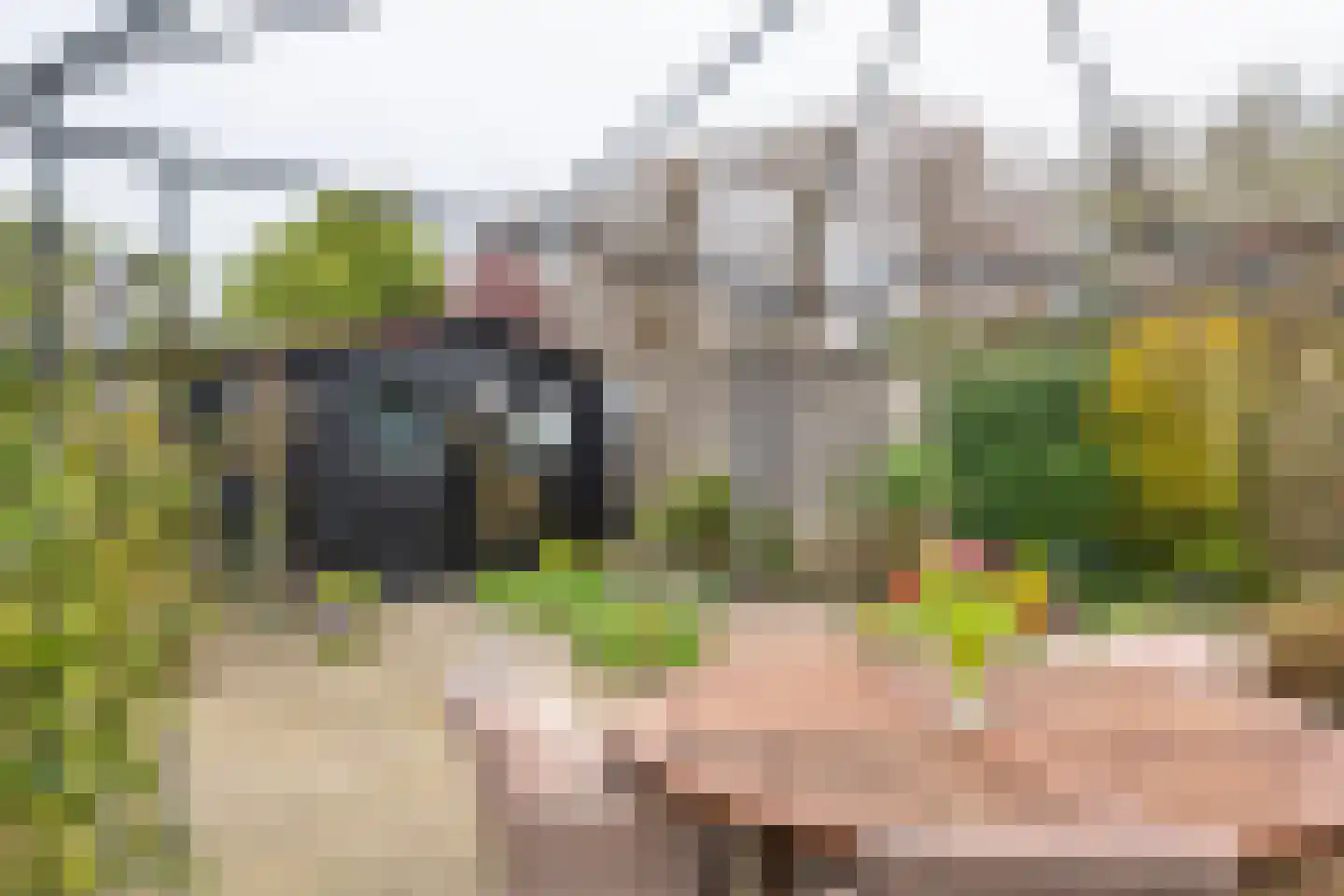Gendershof 4 Haaften thumbnail 55