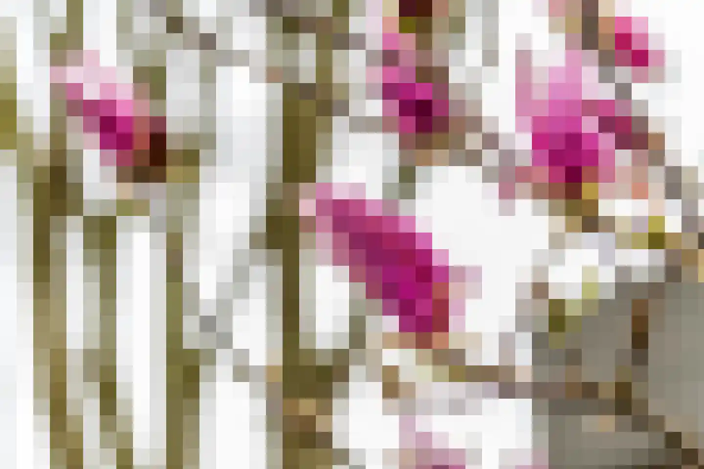 Gendershof 4 Haaften thumbnail 61