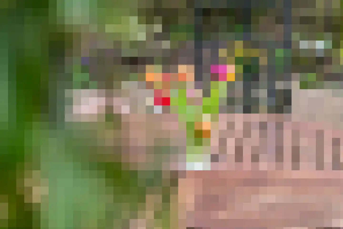 Gendershof 4 Haaften thumbnail 63