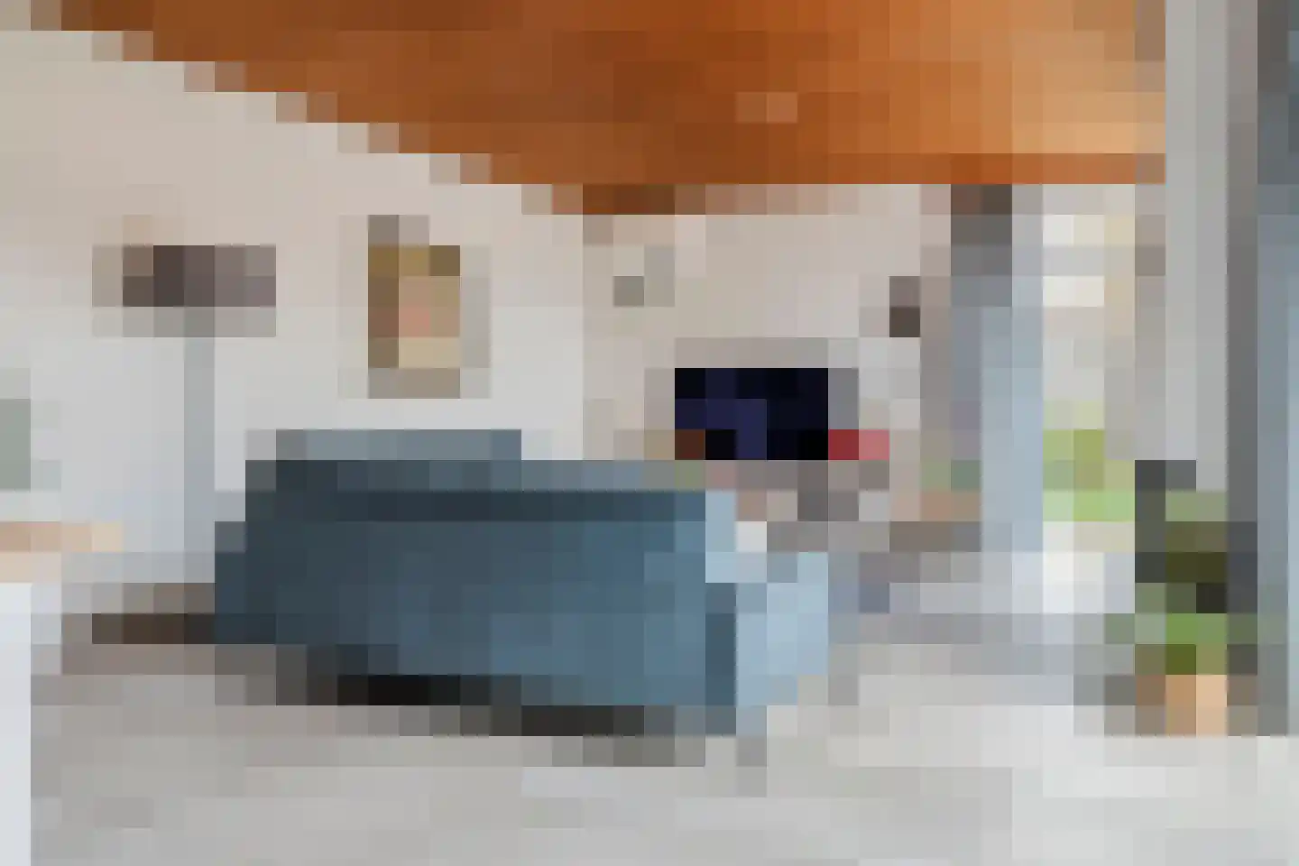 Gendershof 4 Haaften thumbnail 7