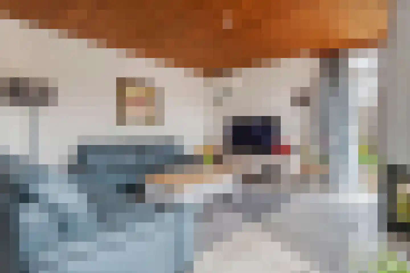 Gendershof 4 Haaften thumbnail 8