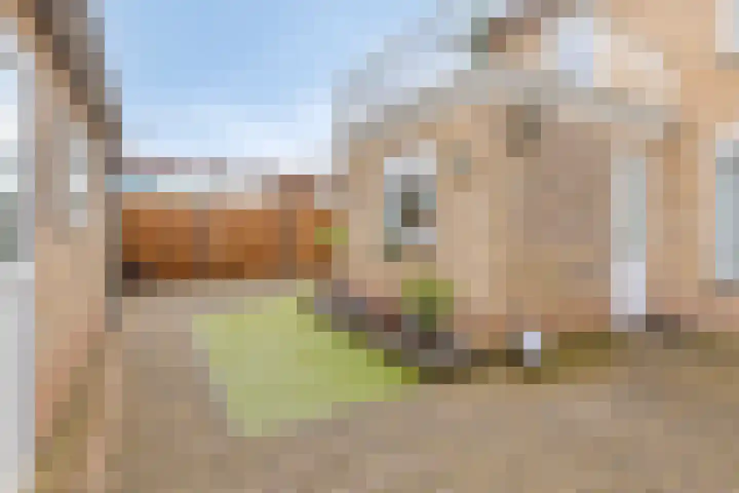 Genderstraat 21 Veldhoven thumbnail 22