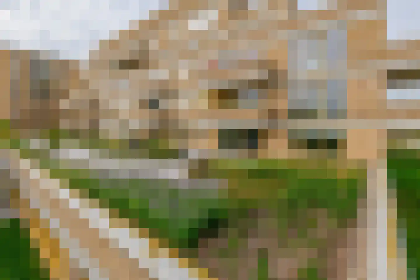 Genderstroom 7 Veldhoven thumbnail 5