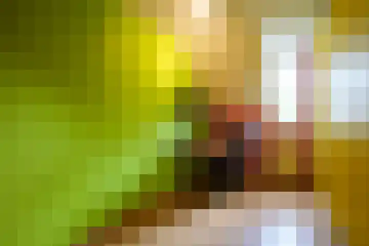 Gendorp 6 Beek thumbnail 20