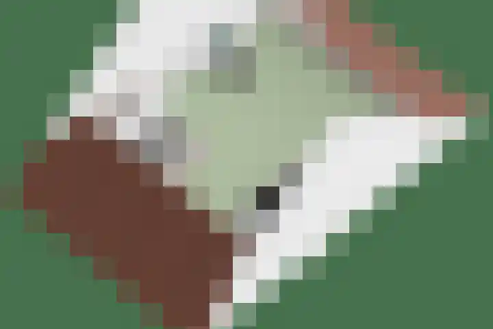 Gendorp 6 Beek thumbnail 26