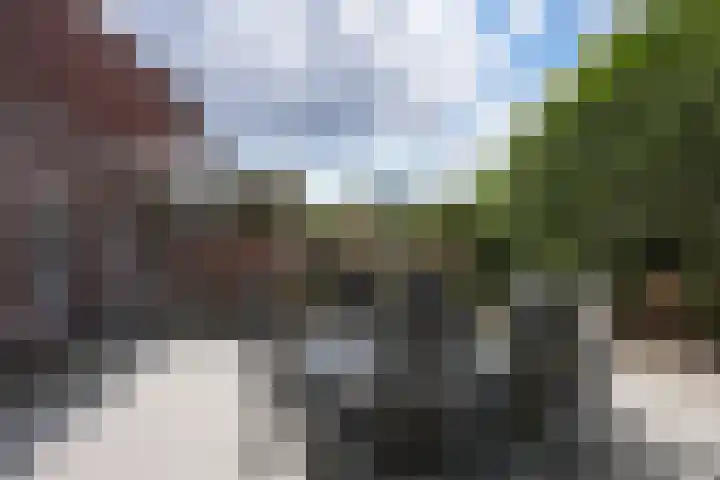 Gendorp 6 Beek thumbnail 31