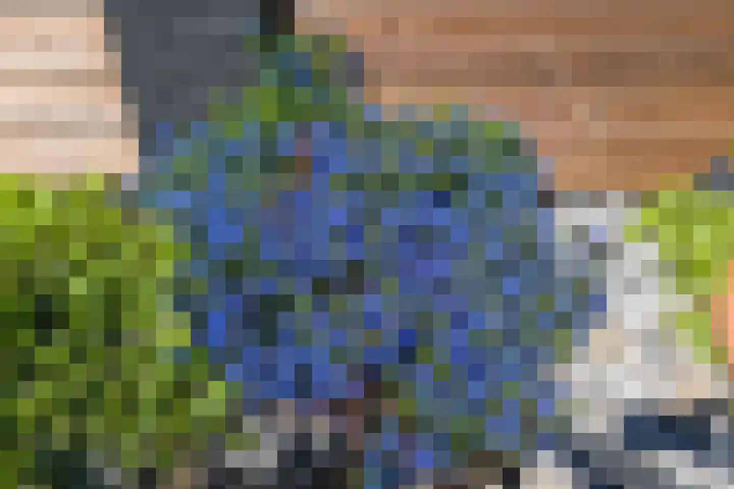Gendringenlaan 6 Tilburg thumbnail 33