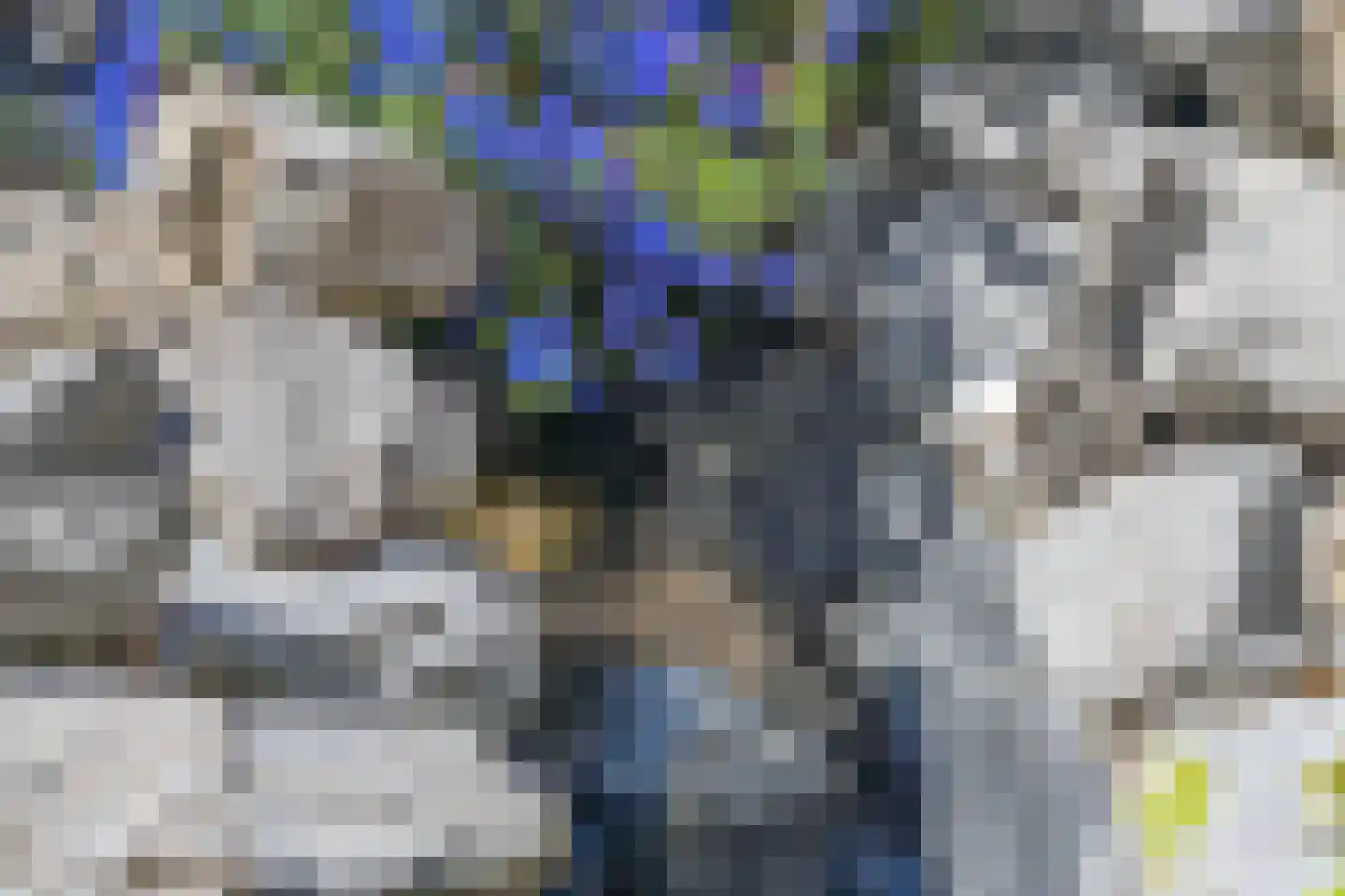 Gendringenlaan 6 Tilburg thumbnail 36