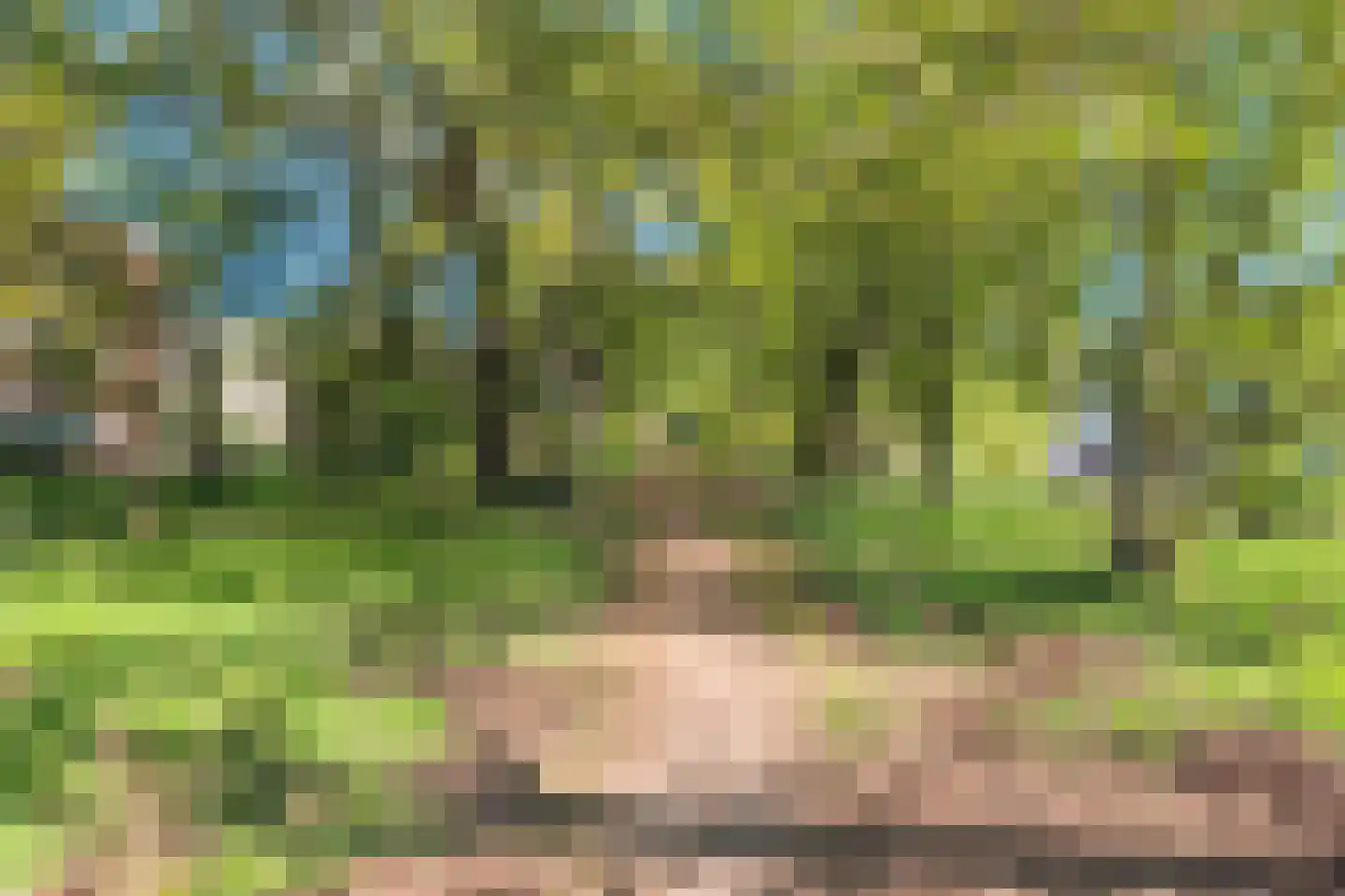 Gendringenlaan 6 Tilburg thumbnail 43