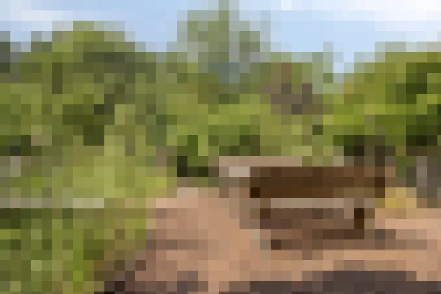 Gendringseweg 26 Aalten thumbnail 36