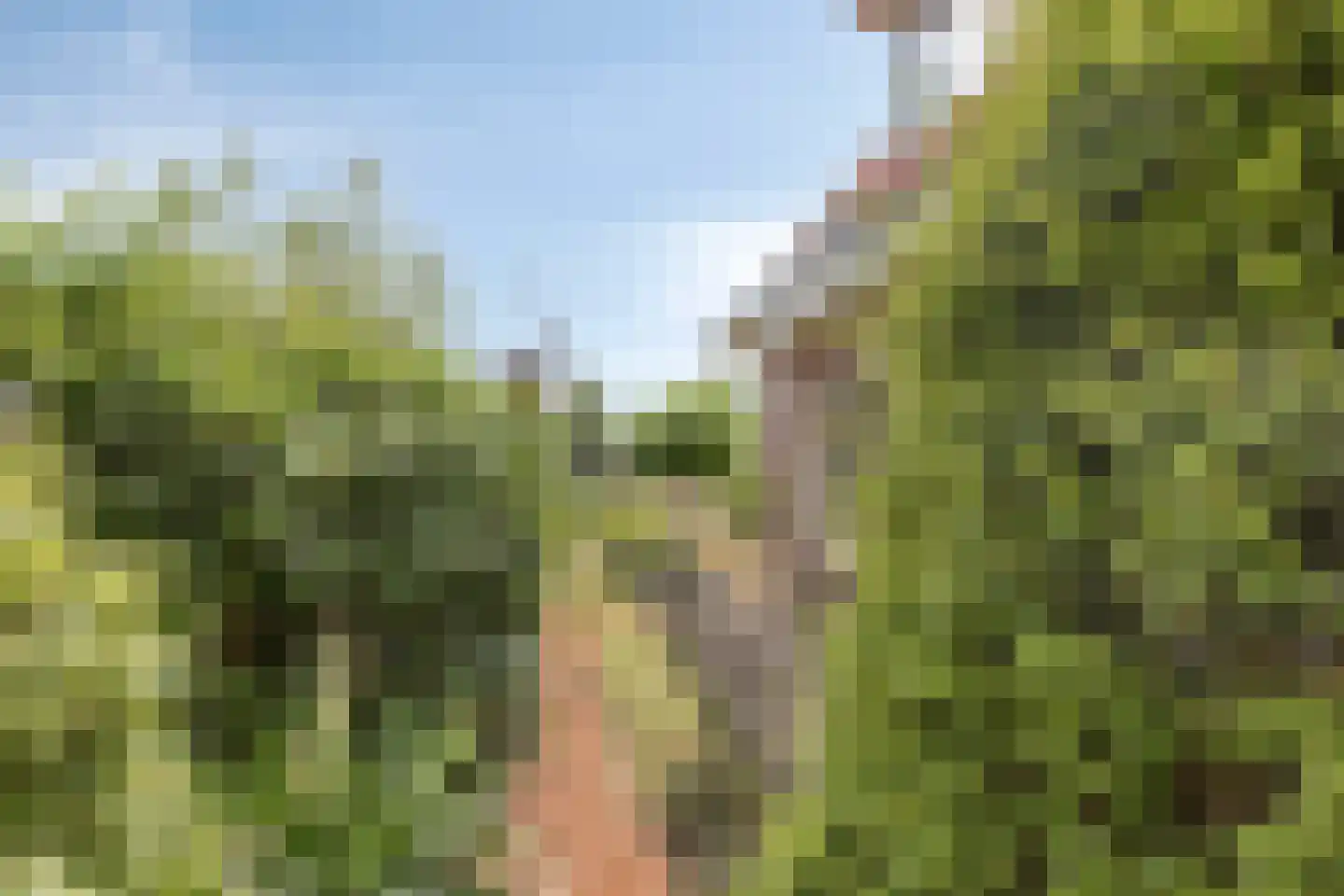 Gendringseweg 26 Aalten thumbnail 37