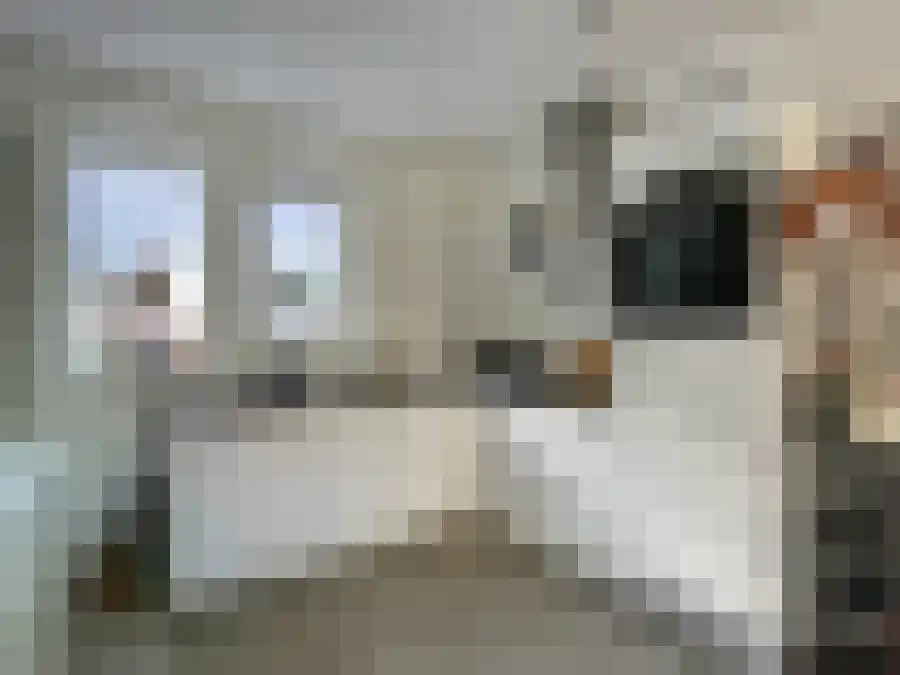 Gendtsewaard 14 Ede thumbnail 6
