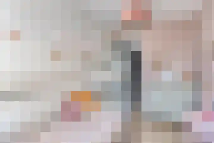 Gendtsewaard 17 Ede thumbnail 16