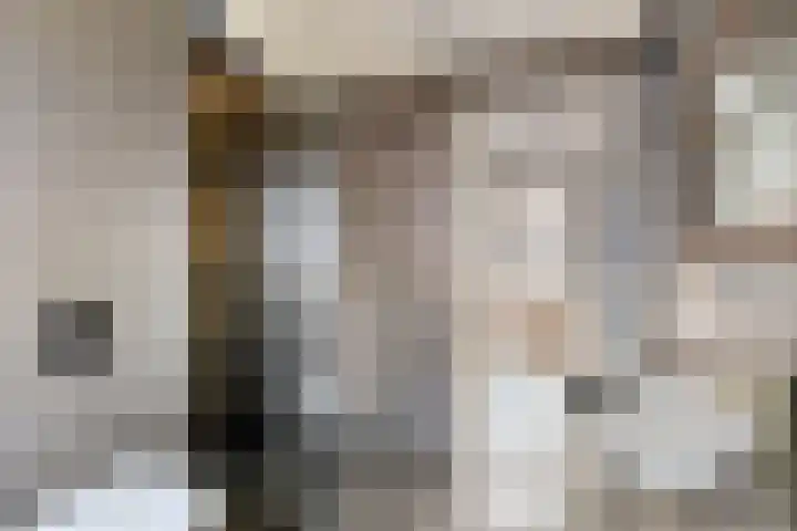 Gendtsewaard 17 Ede thumbnail 20