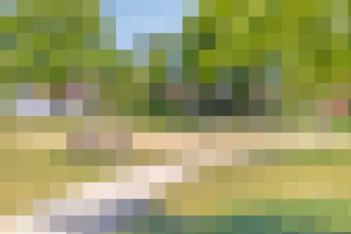 Gendtsewaard 17 Ede thumbnail 36