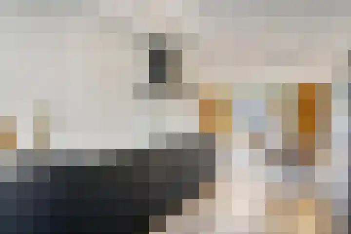 Gendtsewaard 17 Ede thumbnail 9