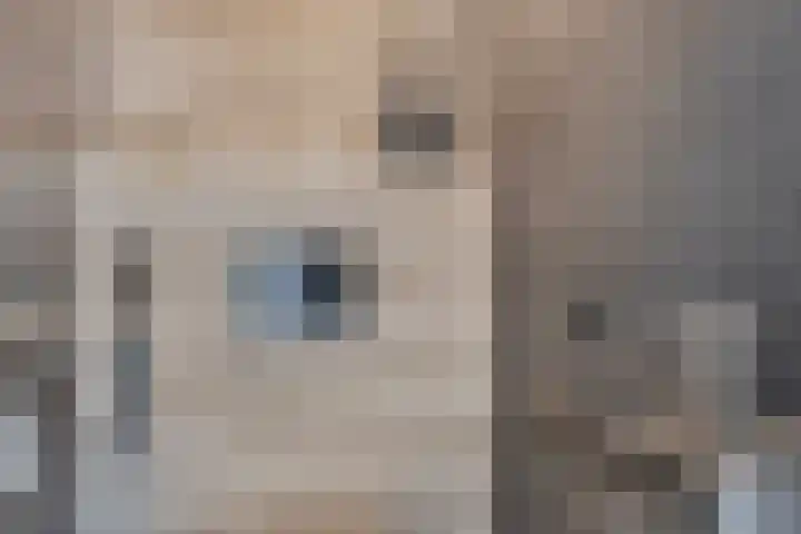 Genechtstraat 12 Druten thumbnail 16