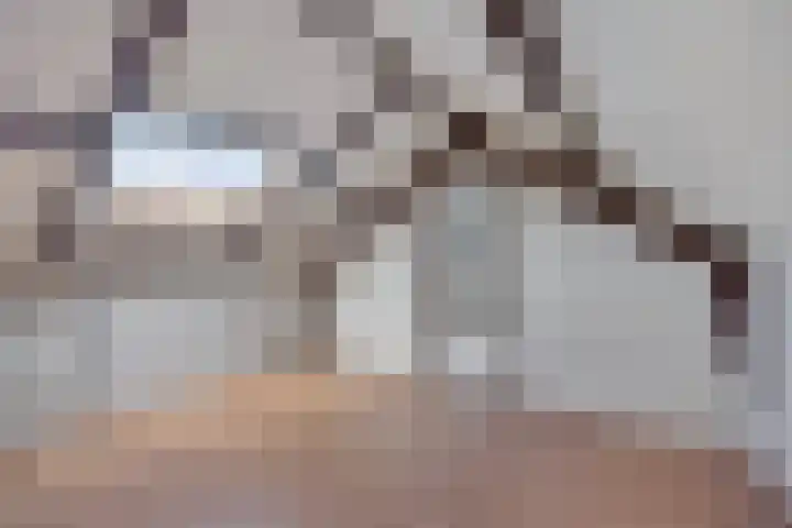 Genechtstraat 12 Druten thumbnail 29