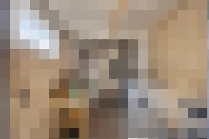 Genechtstraat 12 Druten thumbnail 33