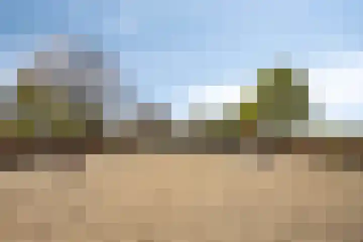 Genechtstraat 12 Druten thumbnail 34