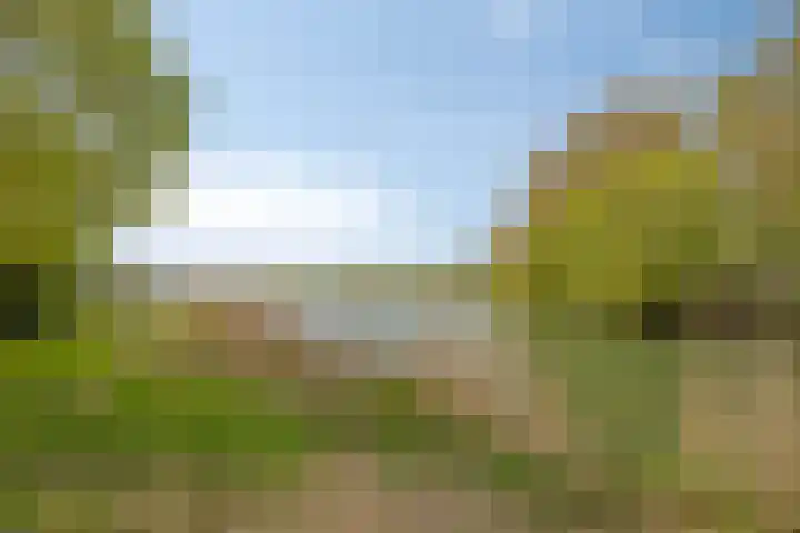 Genechtstraat 12 Druten thumbnail 35