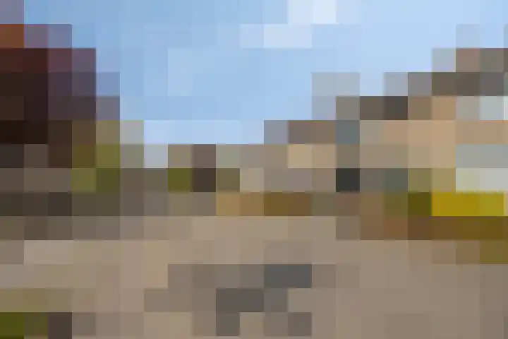 Genechtstraat 12 Druten thumbnail 6