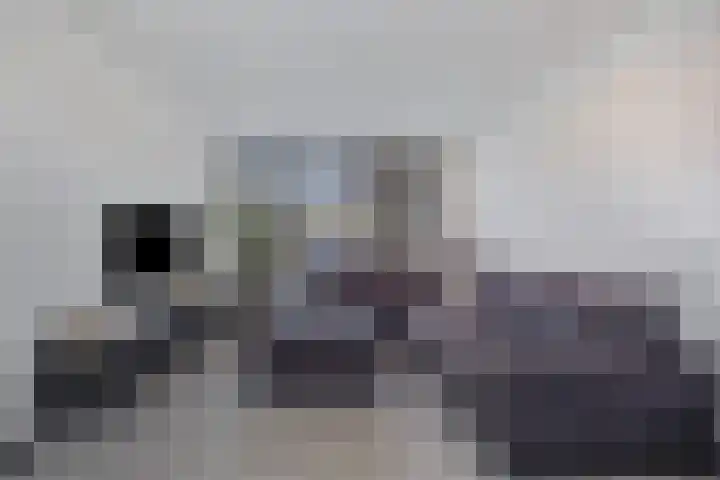 Genechtstraat 12 Druten thumbnail 9