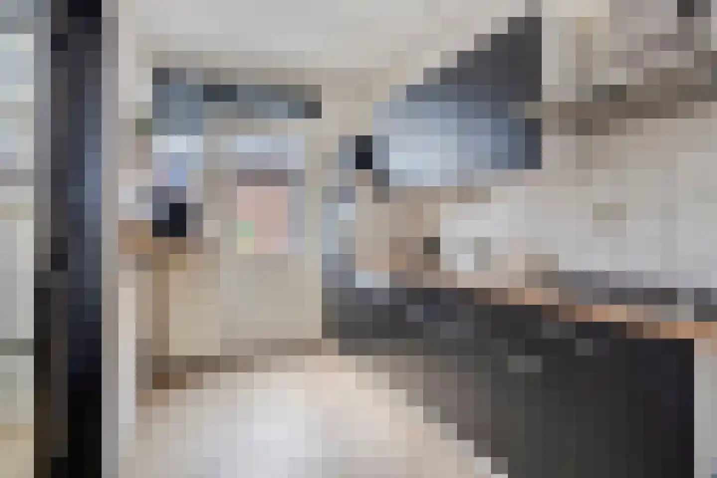 Genechtstraat 55 Druten thumbnail 16