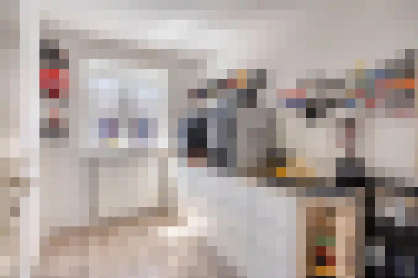 Genechtstraat 55 Druten thumbnail 22