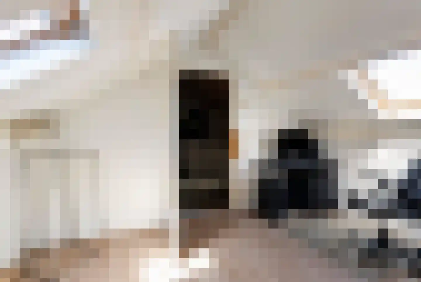 Genechtstraat 55 Druten thumbnail 30