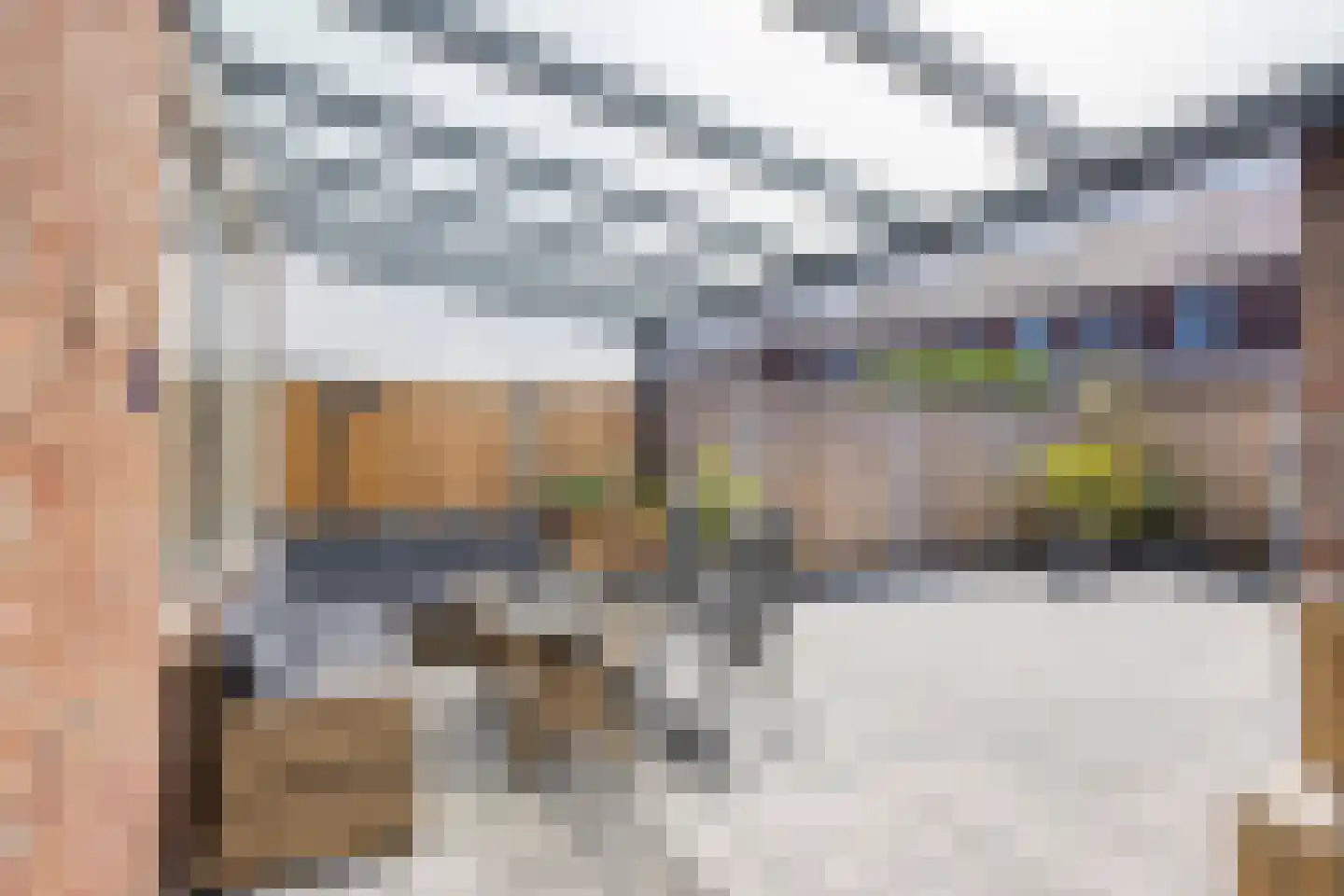 Genechtstraat 55 Druten thumbnail 31