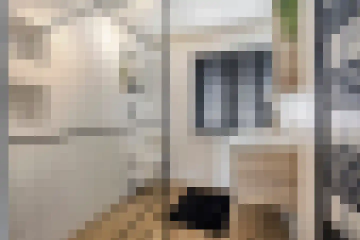 Genechtstraat 55 Druten thumbnail 4