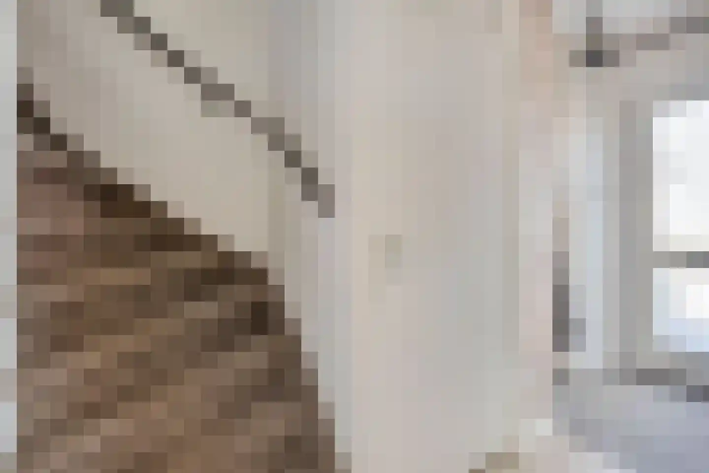 Genechtstraat 55 Druten thumbnail 8