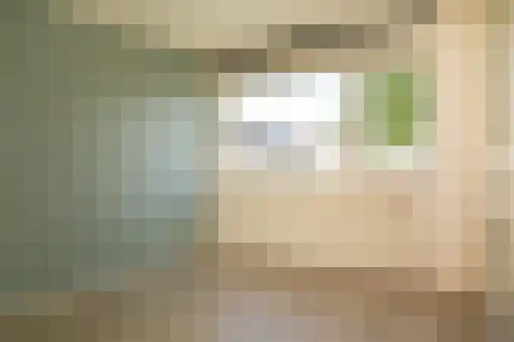 Genechtstraat 57 Druten thumbnail 10