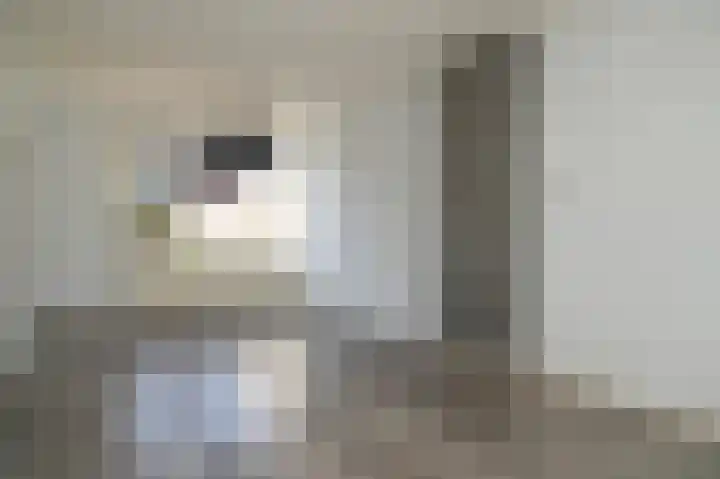 Genechtstraat 57 Druten thumbnail 4
